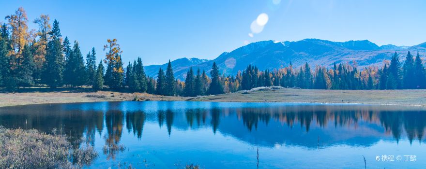 喀纳斯花楸谷攻略-花楸谷门票价格多少钱-团购票价预定优惠-景点地址