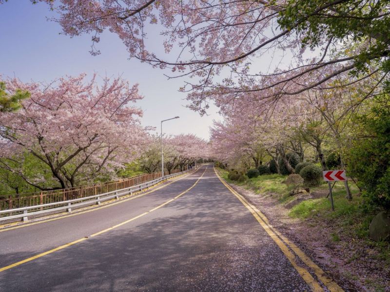 釜山赏月路图片