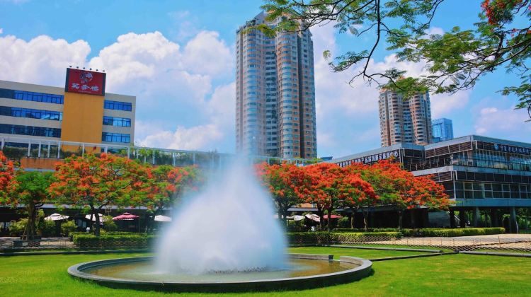 华侨城生态广场