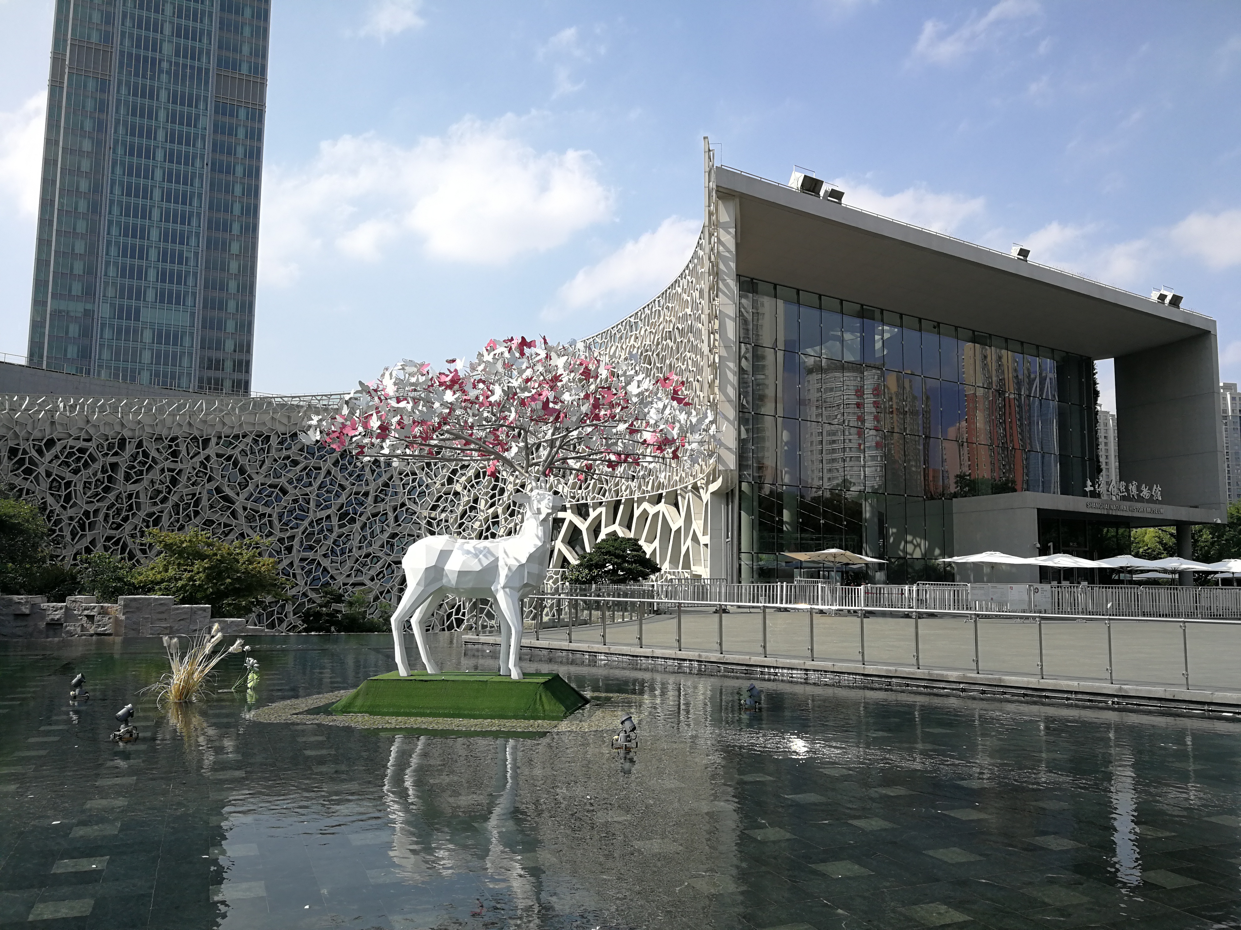 上海静安区自然博物馆图片