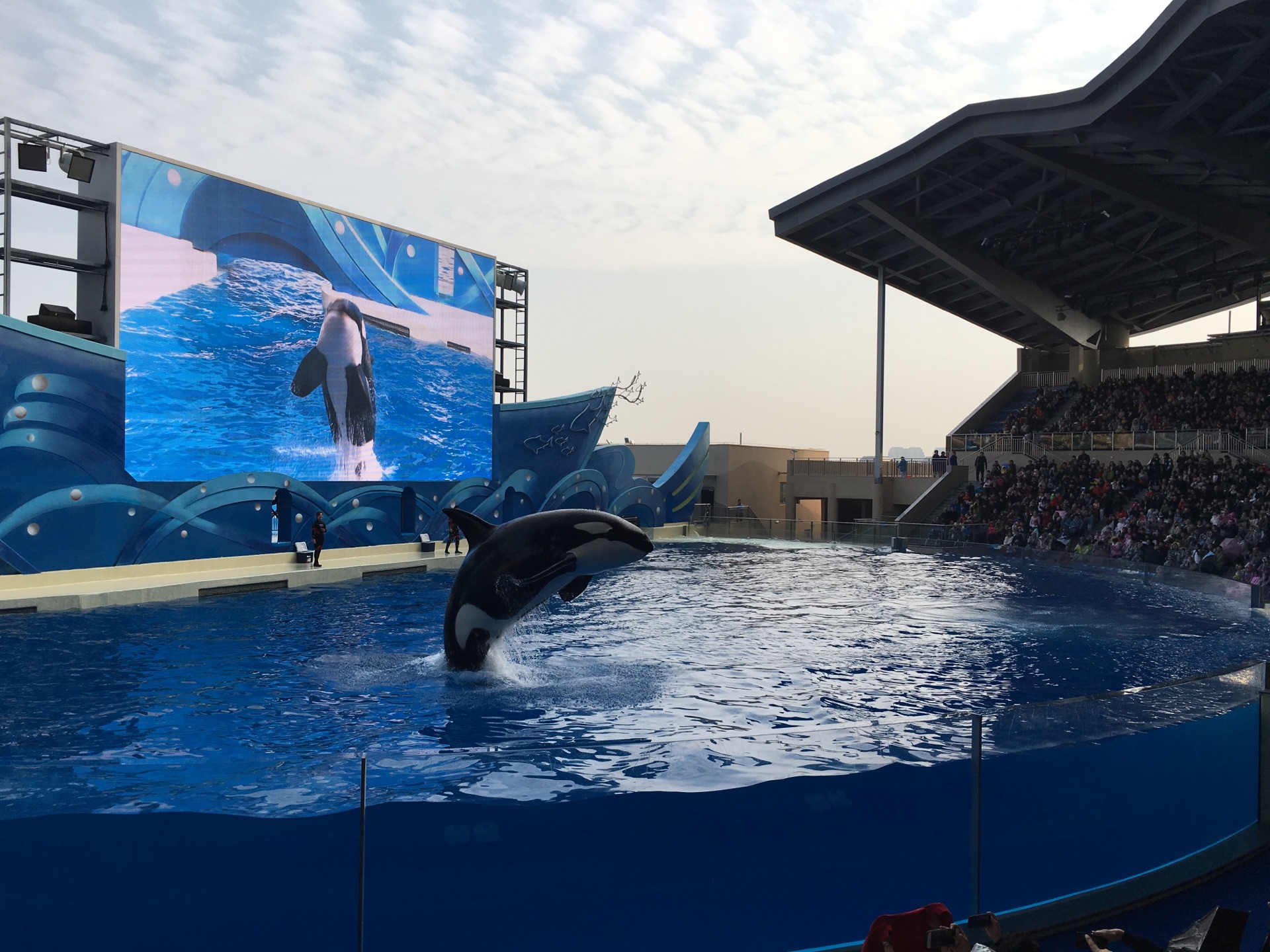 上海海昌海洋公園