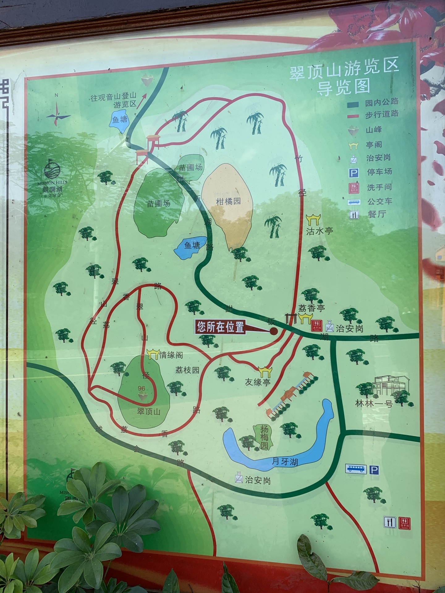海沧大屏山公园路线图片