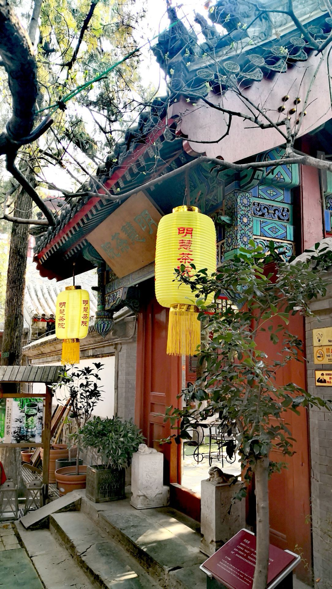 2021大觉寺-旅游攻略-门票-地址-问答-游记点评，北京旅游旅游景点推荐-去哪儿攻略