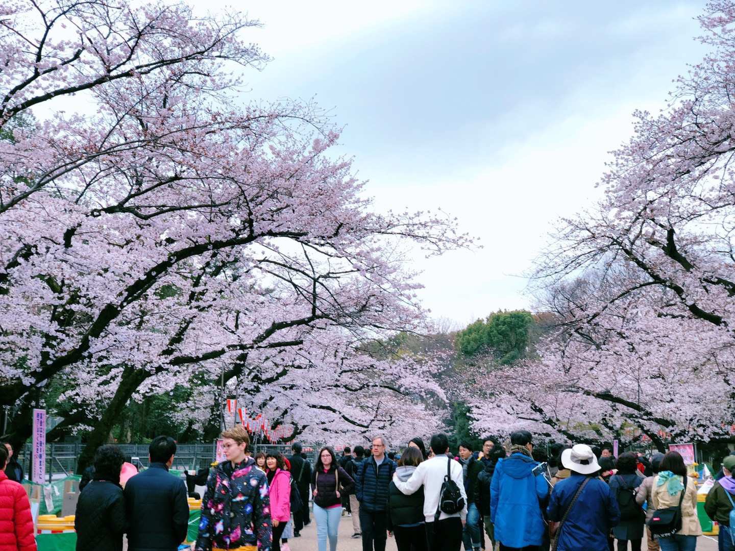 東京で人気の公園 トップ 10 - 都会にいながら癒しを感じられる名園巡り - Go Guides