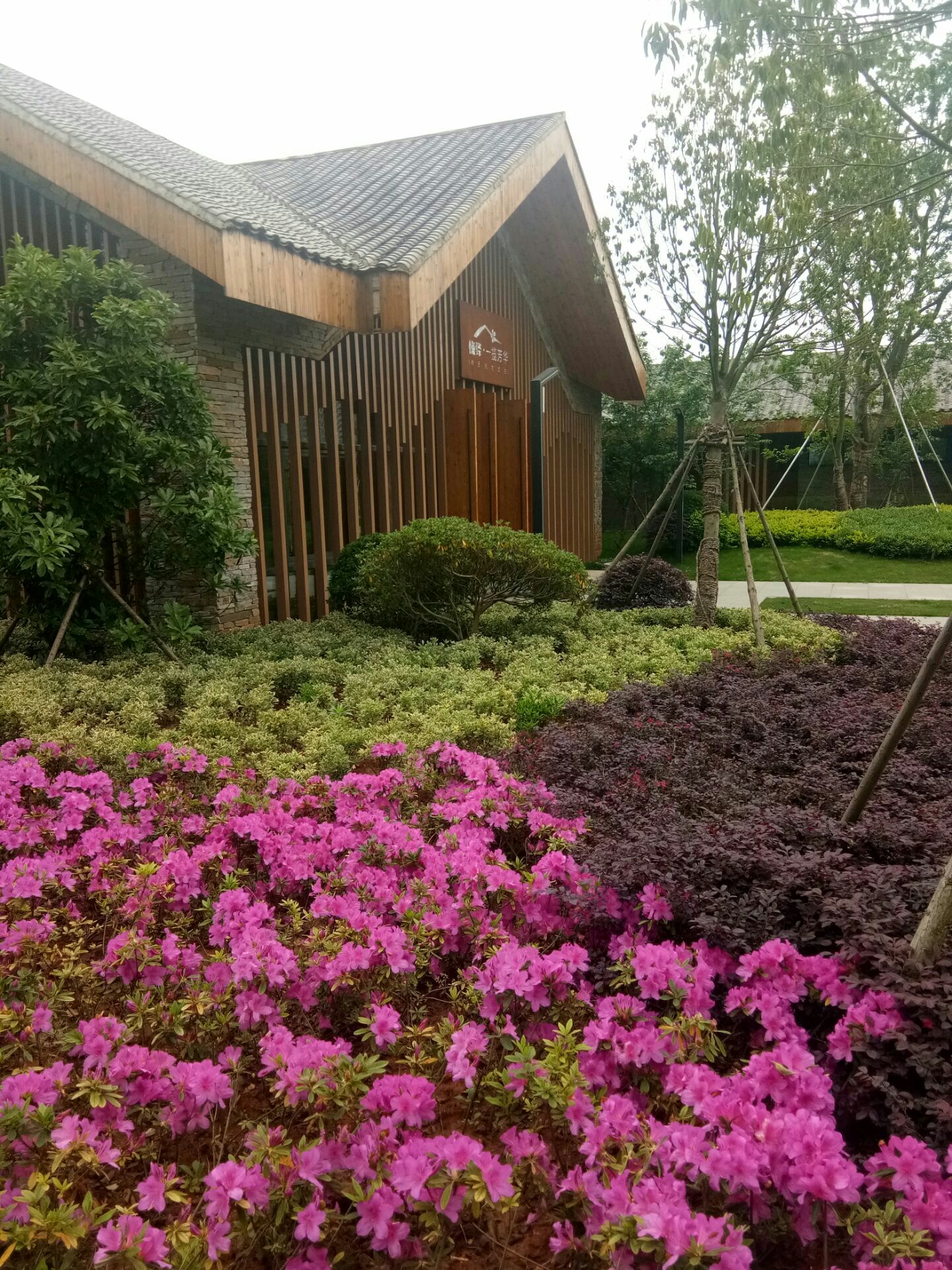 桃花驿小镇旅游风景区图片