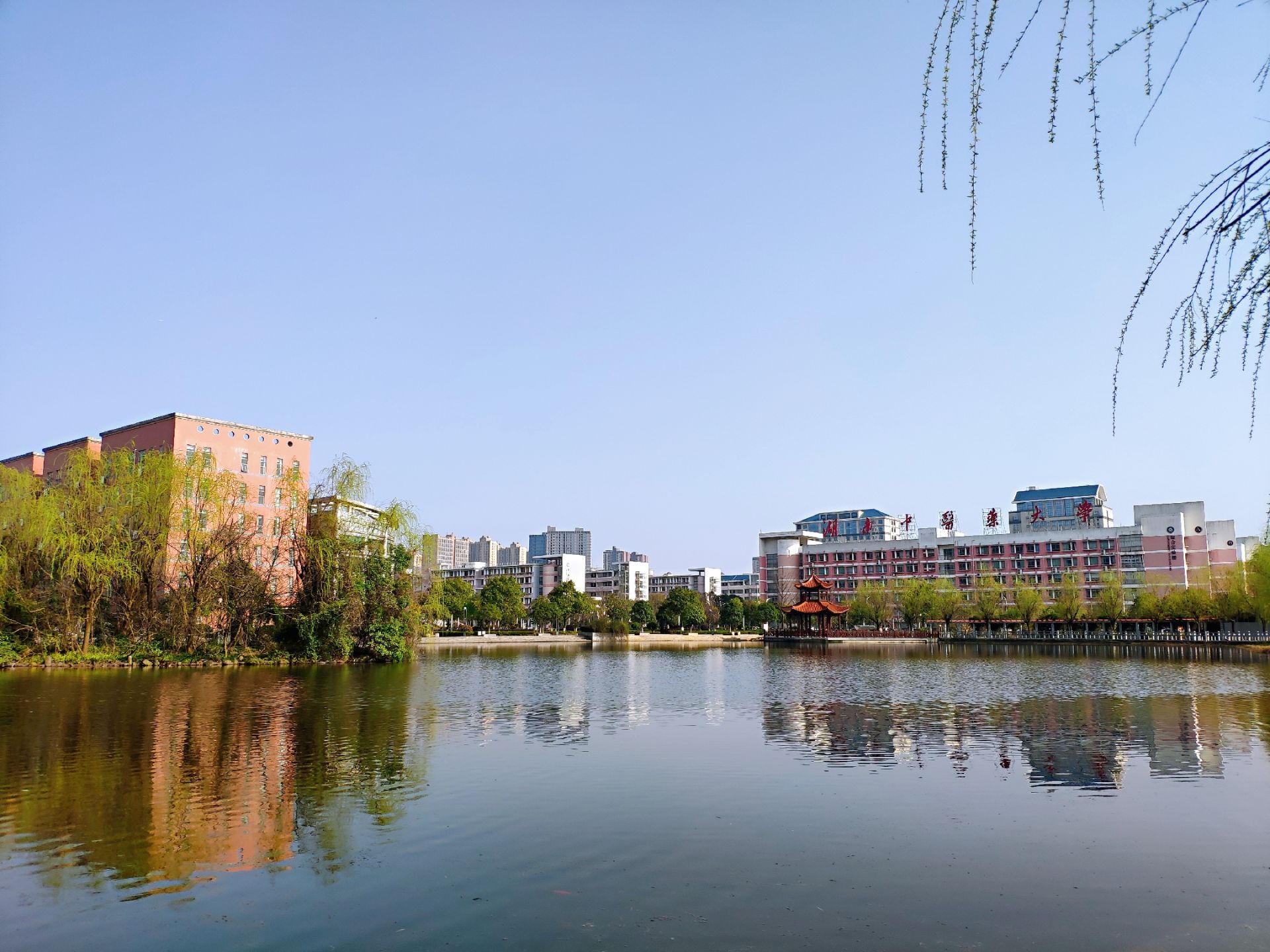 湖南中医药大学图书馆