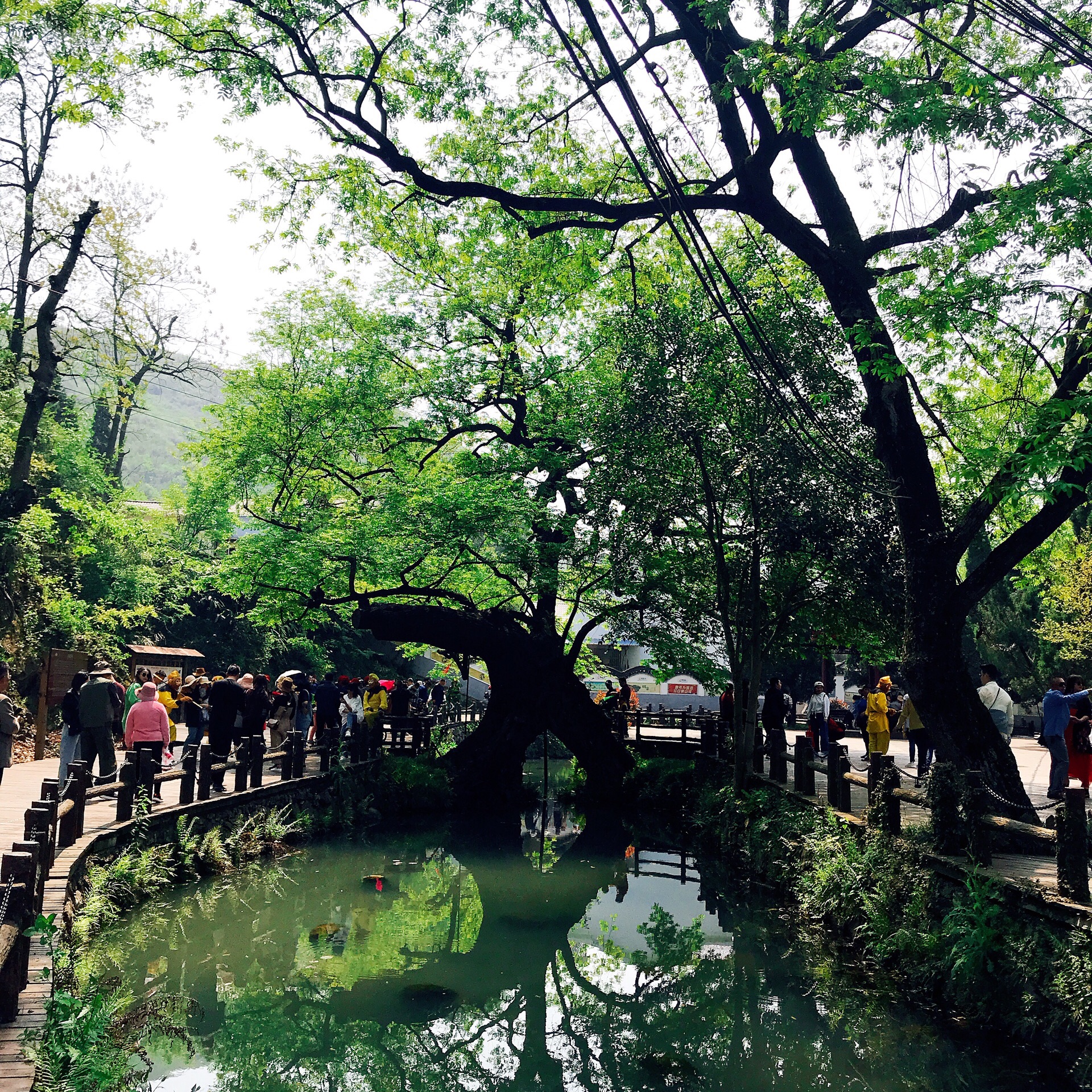 铜陵凤凰山景区好玩吗,铜陵凤凰山景区景点怎么样_点评_评价【携程