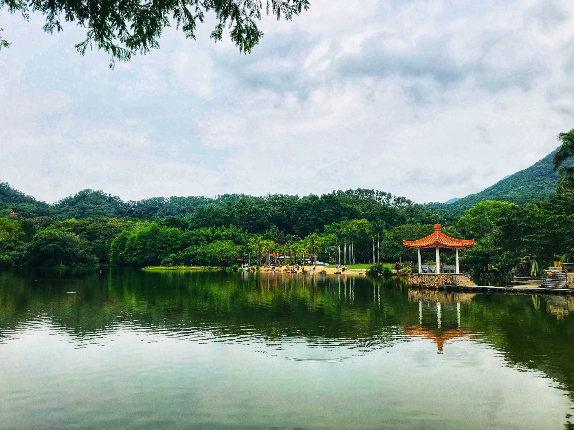 重庆南山植物园风景实拍|南山植物园|实拍|重庆_新浪新闻