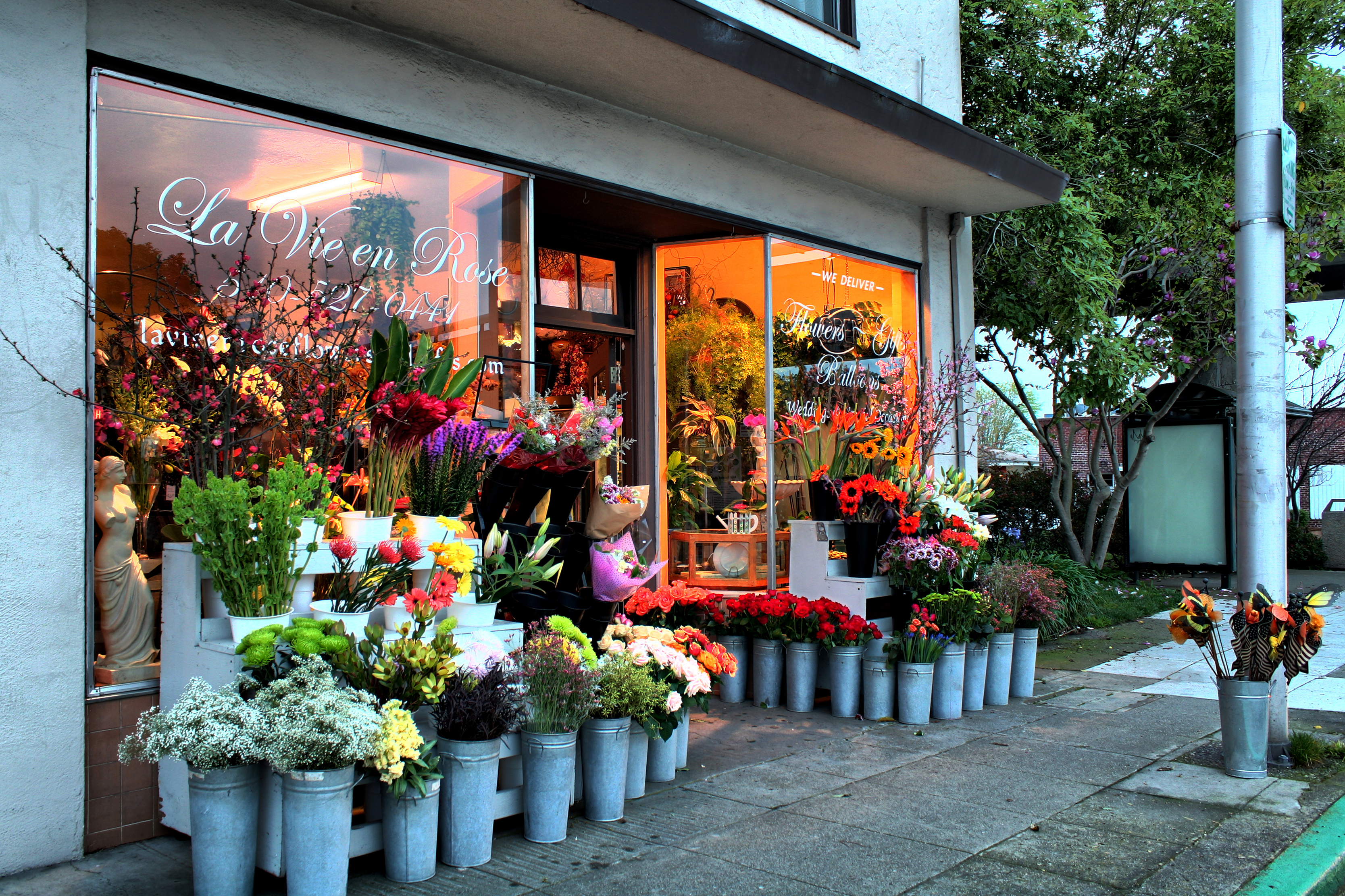 阿拉梅达县kaady car washes攻略,阿拉梅达县kaady car washes门票