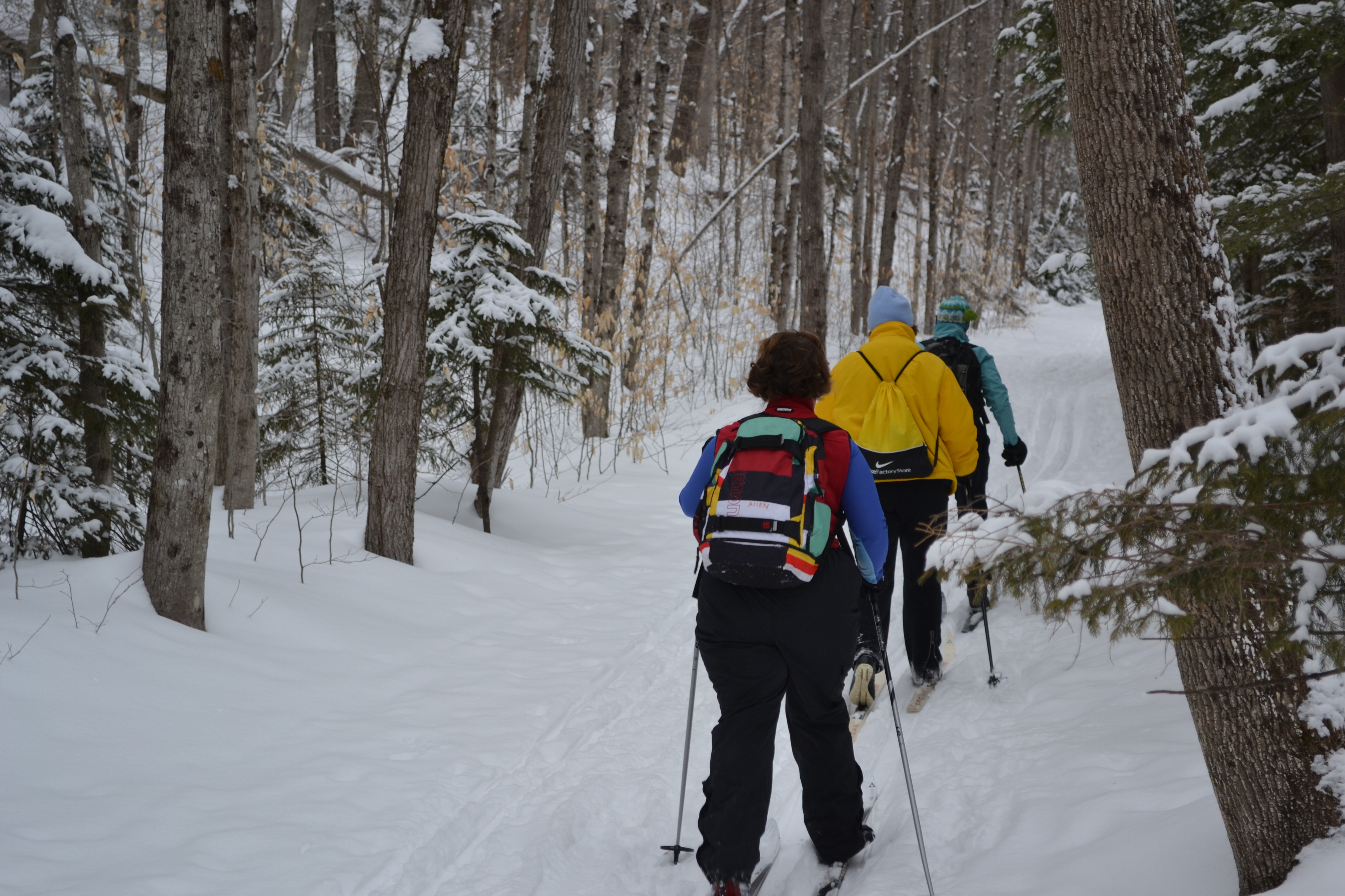 washington valley ski touring & snowshoe center 直線距離1.1km