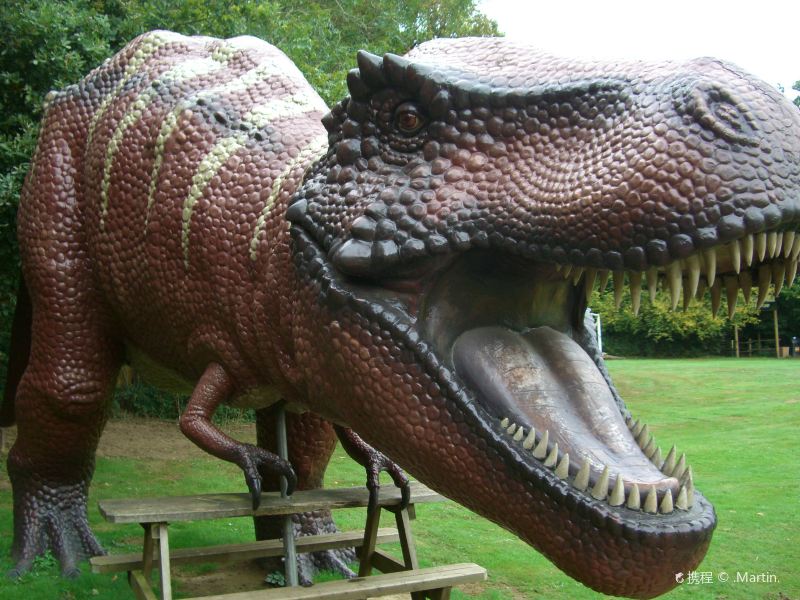 saint florencethe dinosaur park攻略-the dinosaur park门票价格