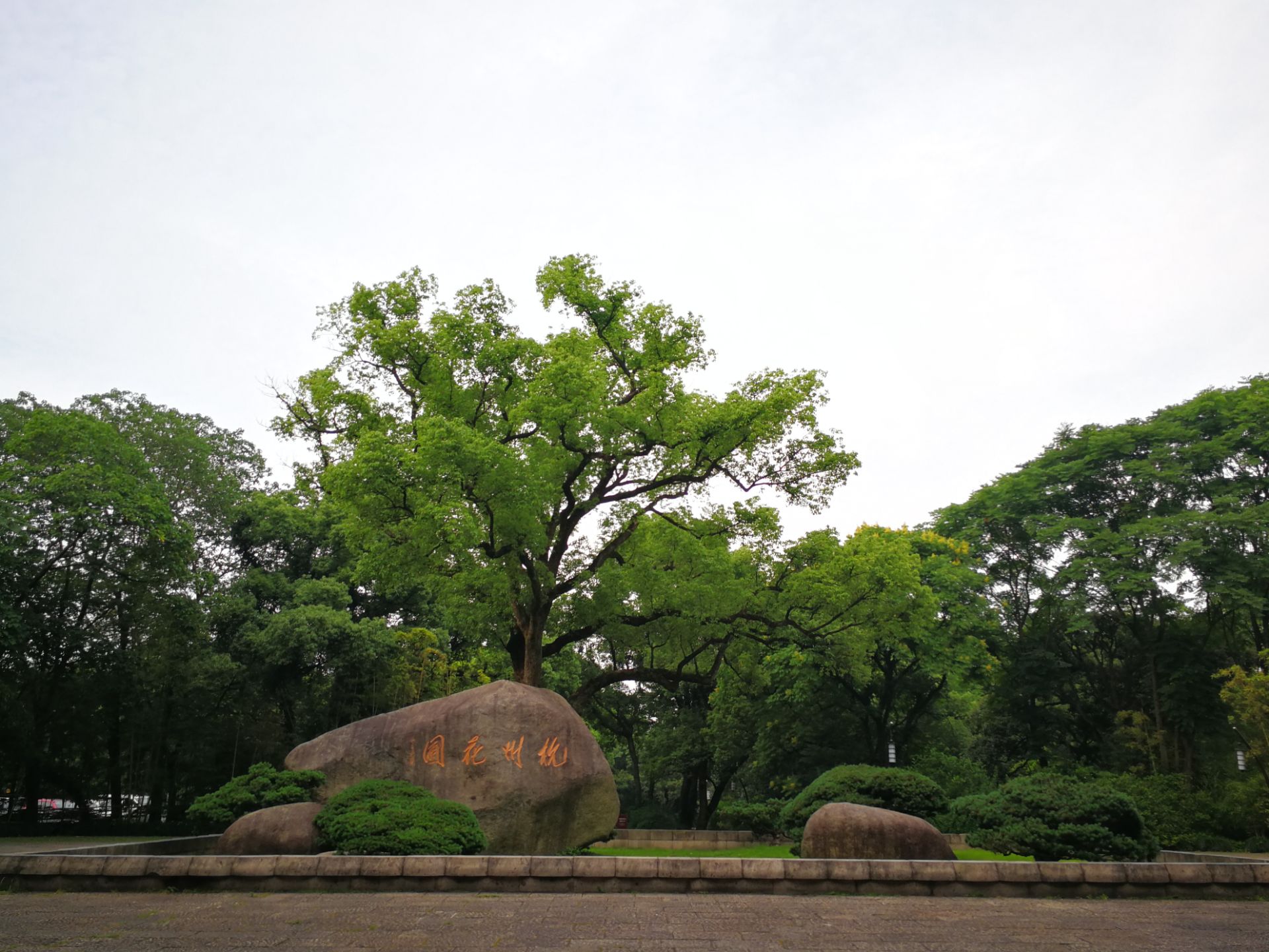 杭州花圃