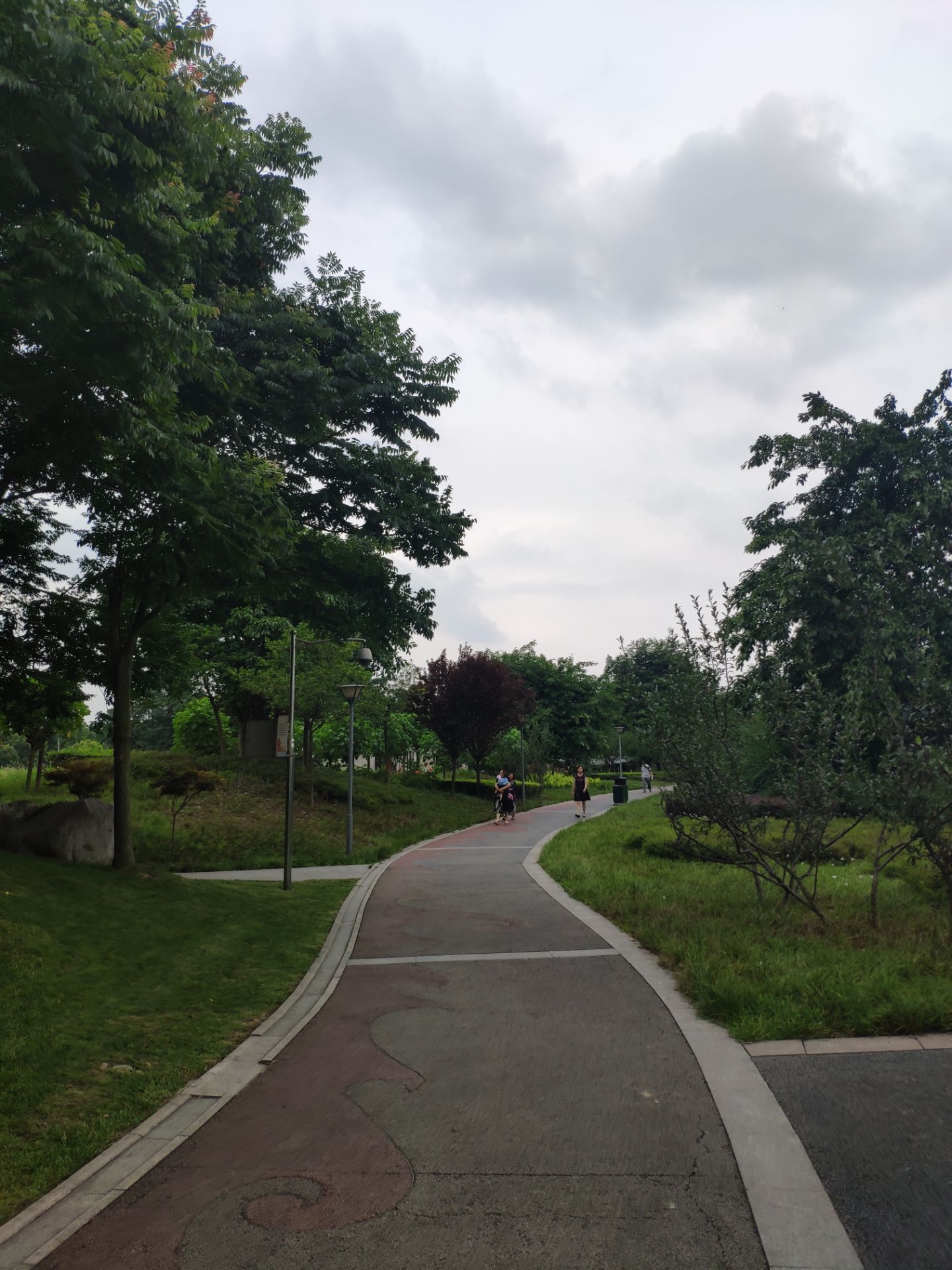 2020白河公园-旅游攻略-门票-地址-问答-游记点评,成都旅游旅游景点