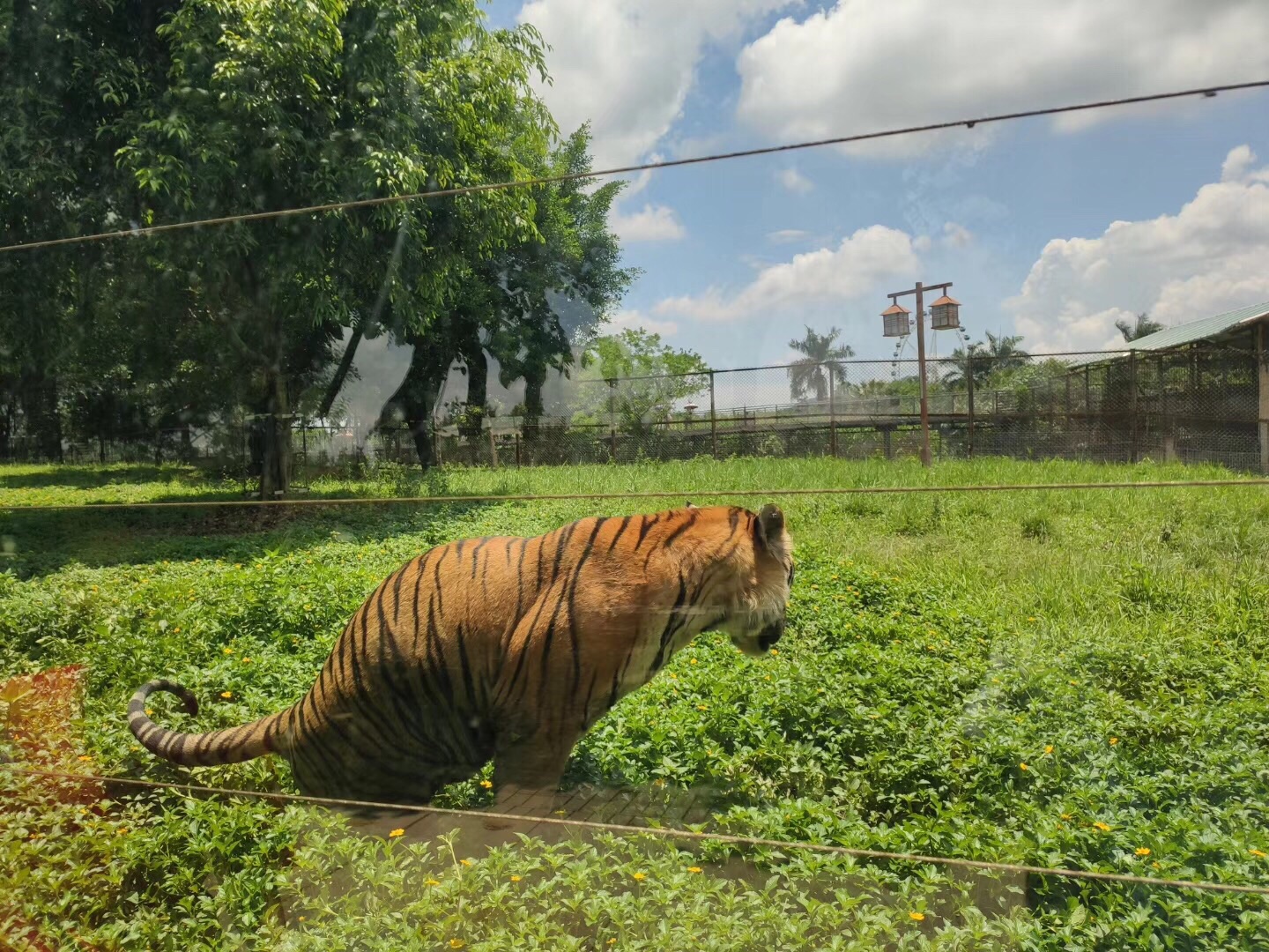 香市動物園