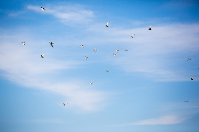 飞过天空 100u170000011ghr11910_R_671_10000_Q90.jpg?proc=autoorient