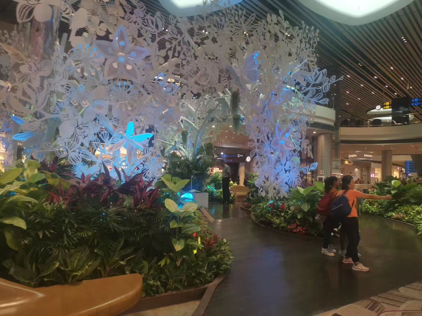 2019樟宜机场体验区_旅游攻略_门票_地址_游记点评,新加坡旅游景点推荐 - 去哪儿攻略社区