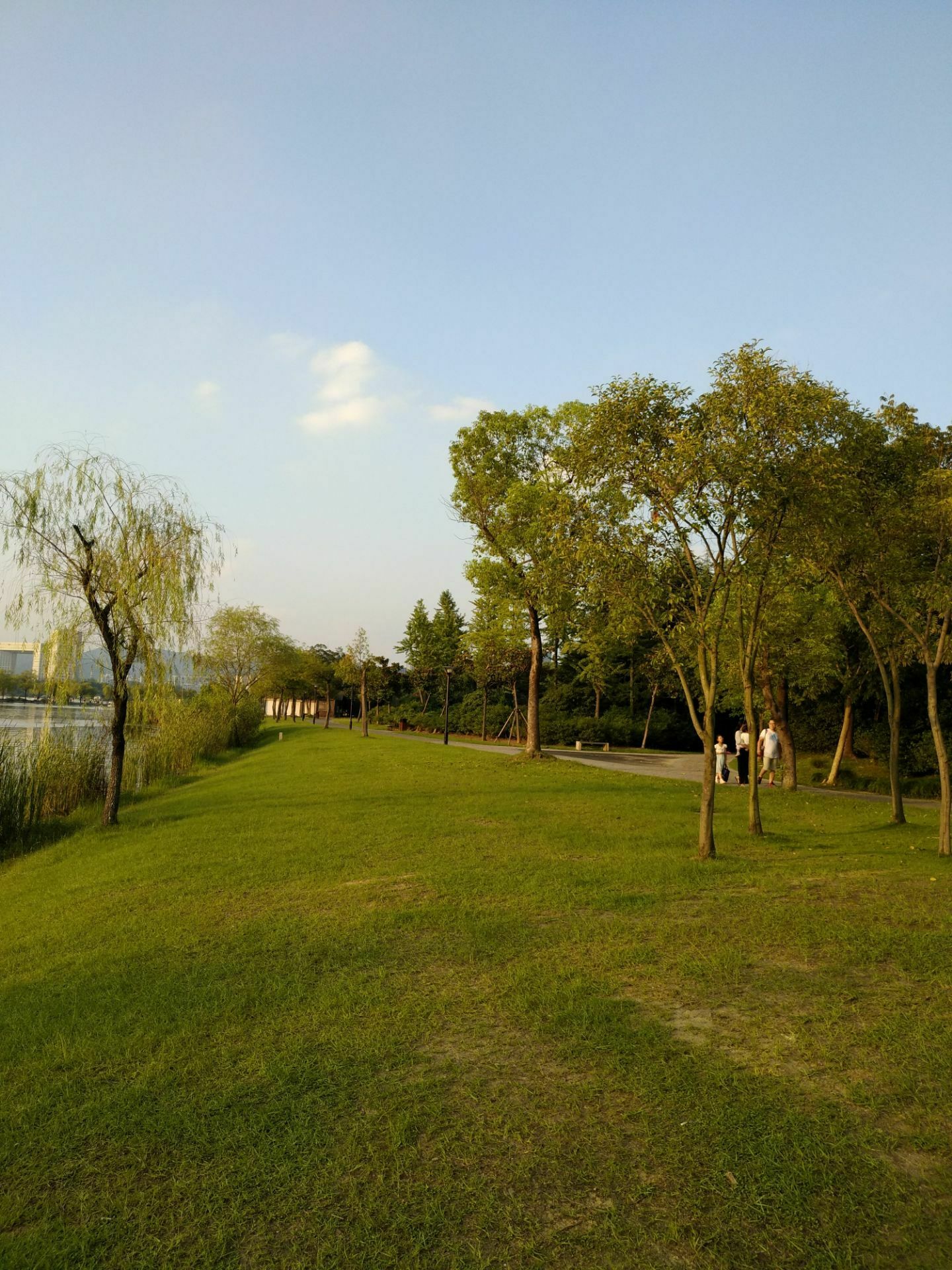 2020杭州湿地植物园