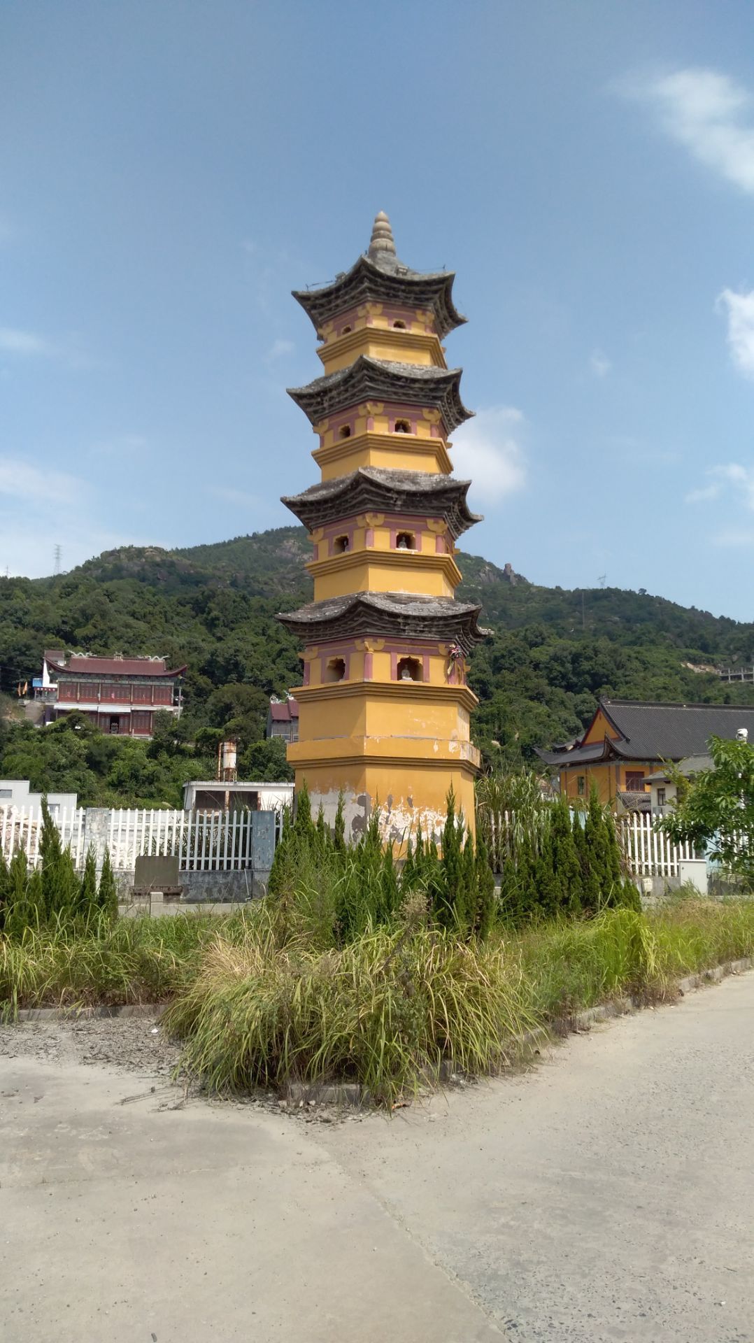 温州平阳的宝胜寺双塔位于平阳县龙港大桥附近是宝胜寺的寺塔与寺庙被