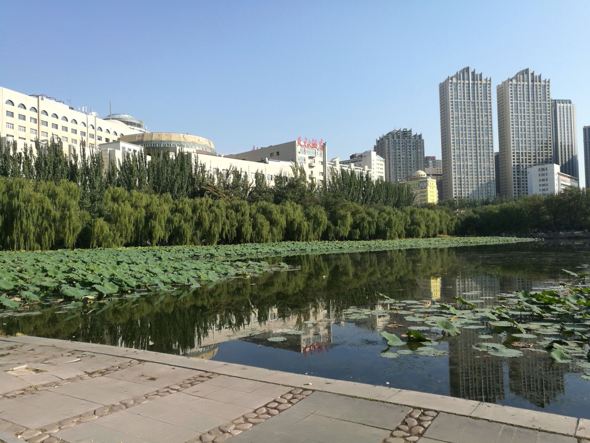 中国内蒙古呼和浩特市青城公园和城市天际线高视角风光照片摄影图片_ID:427510114-Veer图库