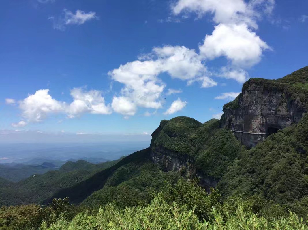 金佛山