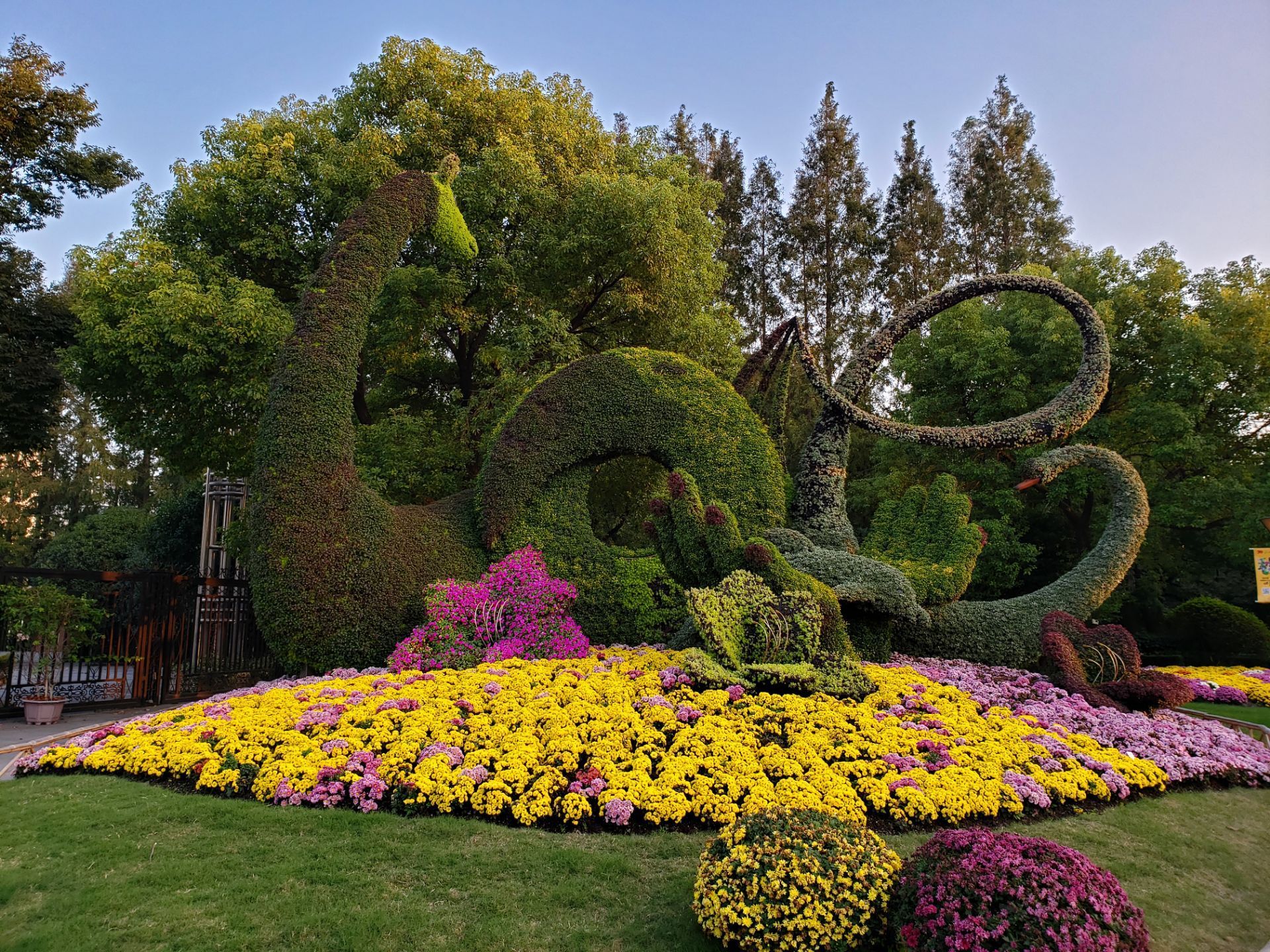 不能错过的秋季花展，2019上海植物园让你“心花怒放” - BANG!
