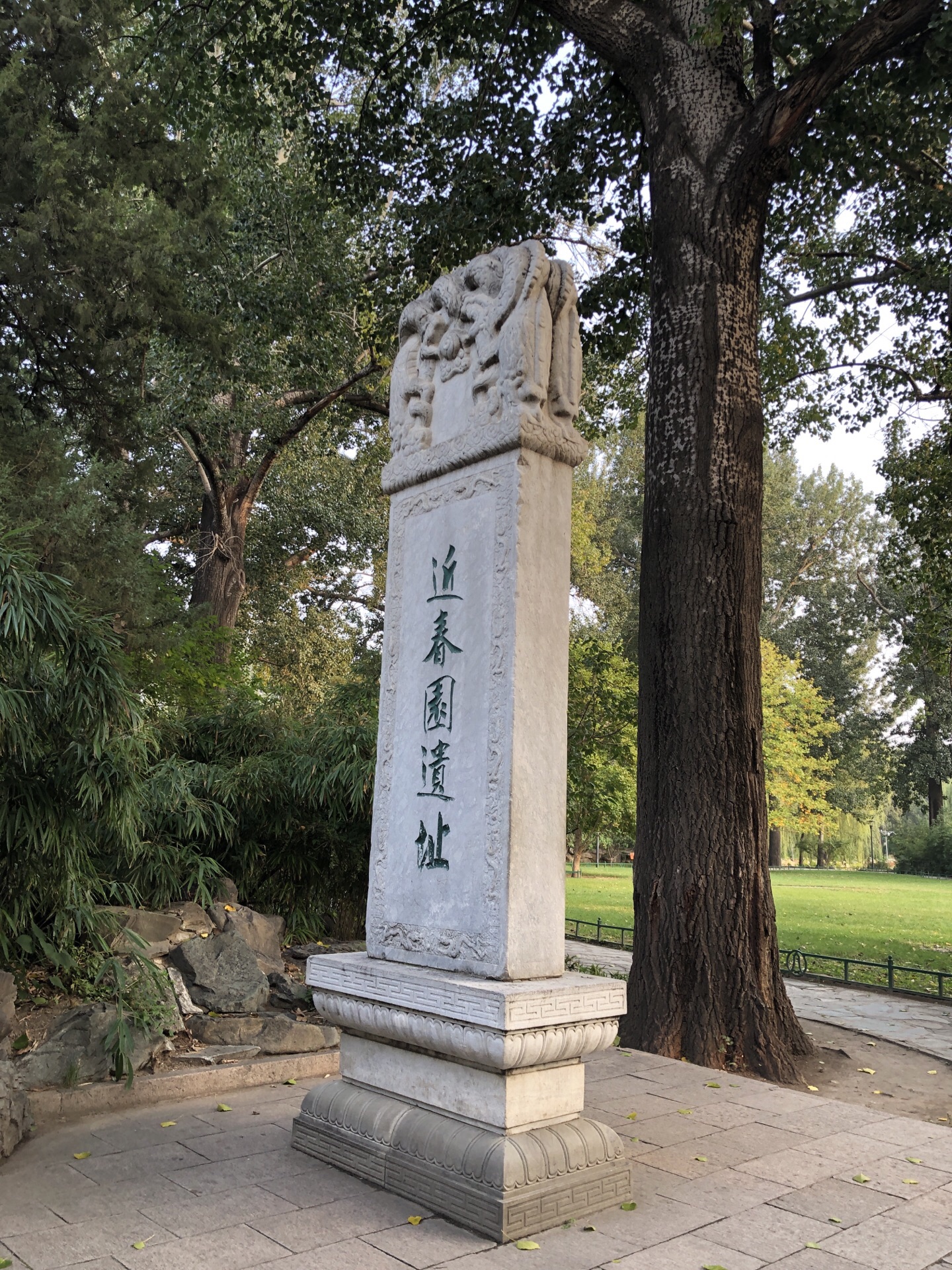 当我好不容易住进近春园激动敬仰的心情让我放下行李就直奔荷塘感受