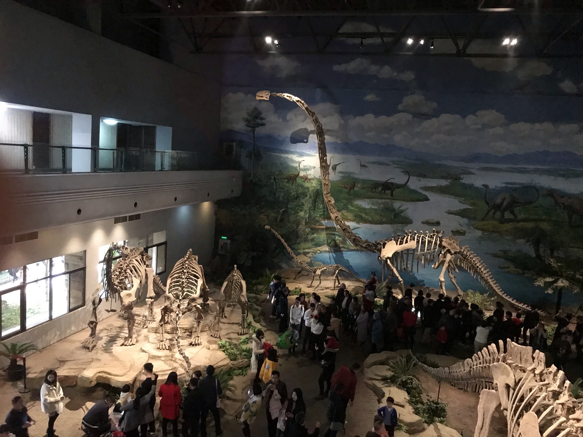 恐龙展 恐龙展览|资源-元素谷(OSOGOO)