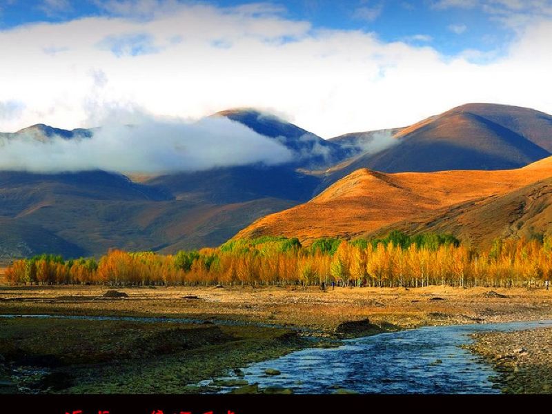 万亩青杨林观景点