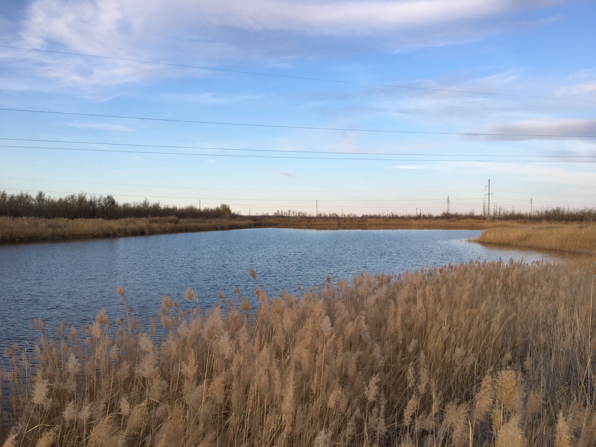 2020花城湖国家湿地公园-旅游攻略-门票-地址-问答-游记点评,酒泉旅游