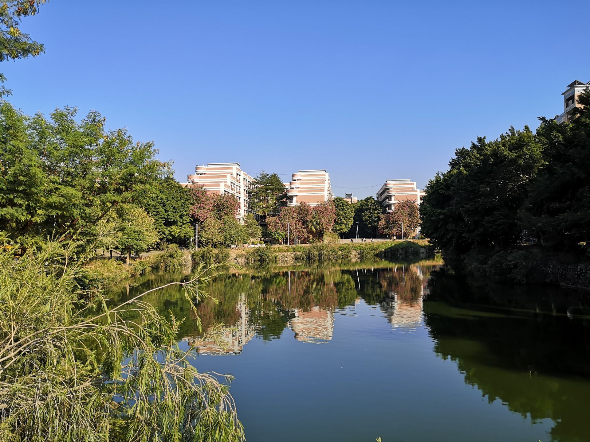 广州华南农业大学湿地公园好玩吗,广州华南农业大学湿地公园景点怎么