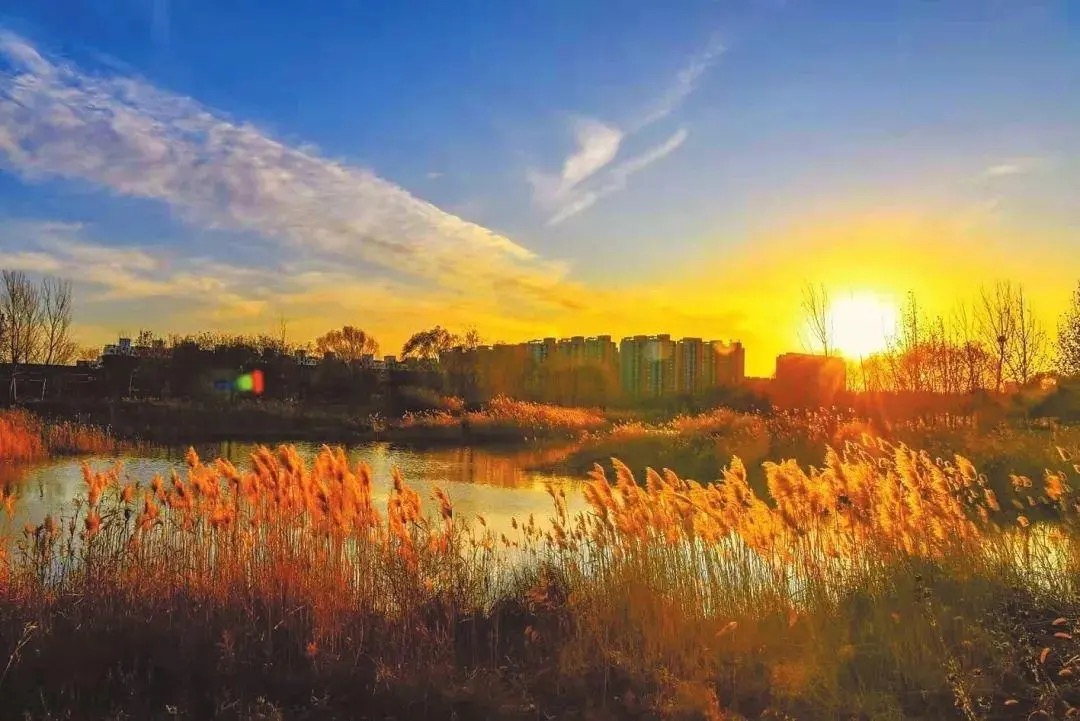 曹妃甸湿地公园