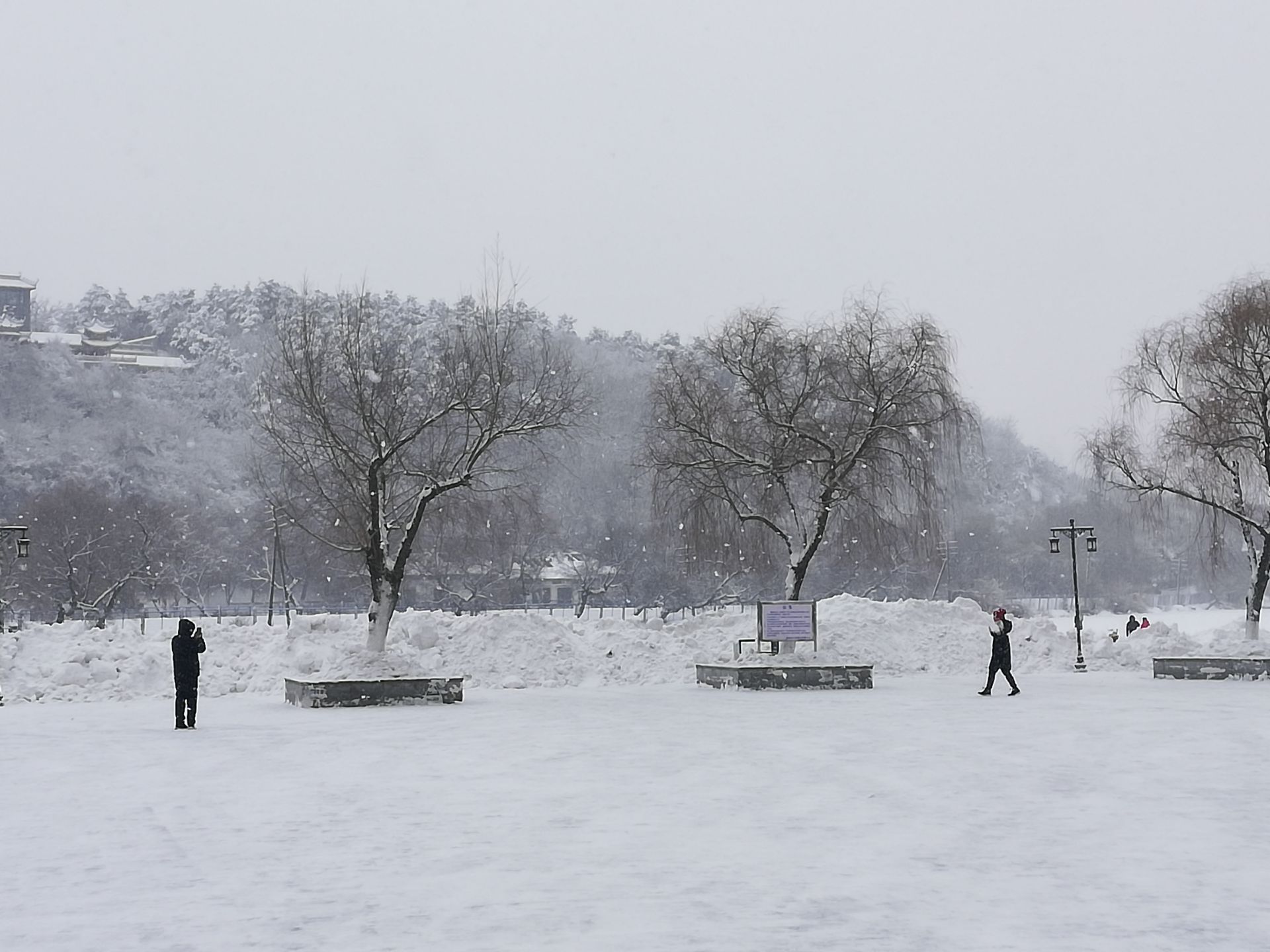 2022北山公园游玩攻略,吉林北山公园的雪景绝美，这...【去哪儿攻略】