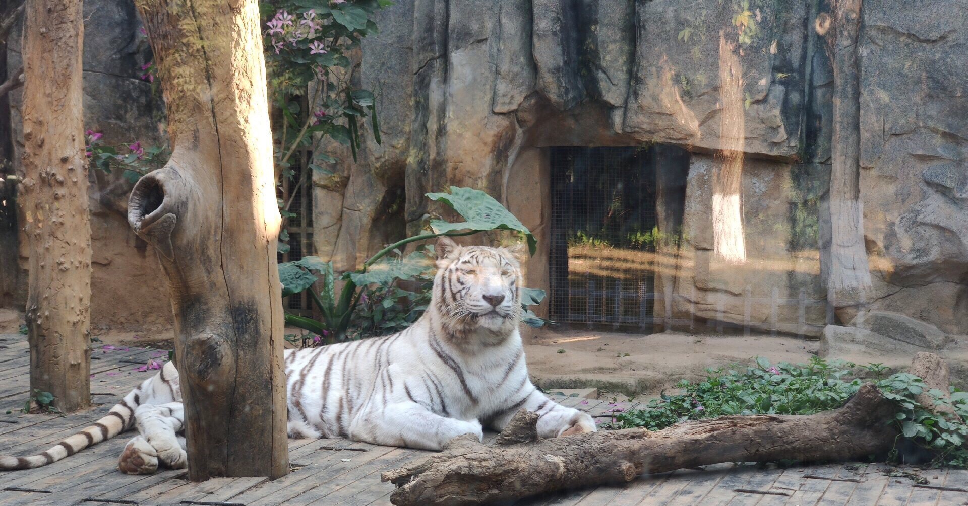 南寧動物園