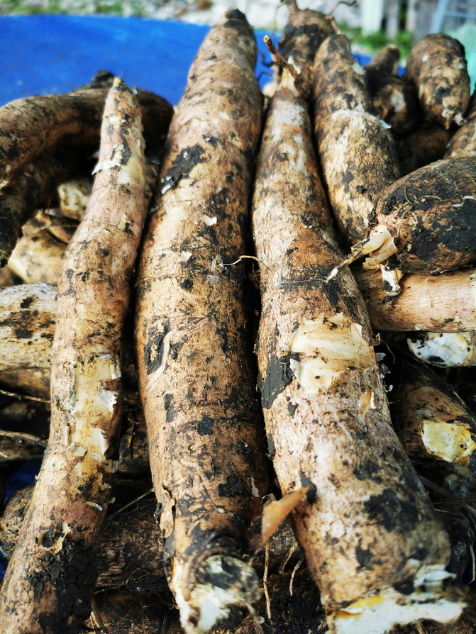 100u1b000001bdqts7B6A_R_671_10000_Q90.jpg?proc=autoorient