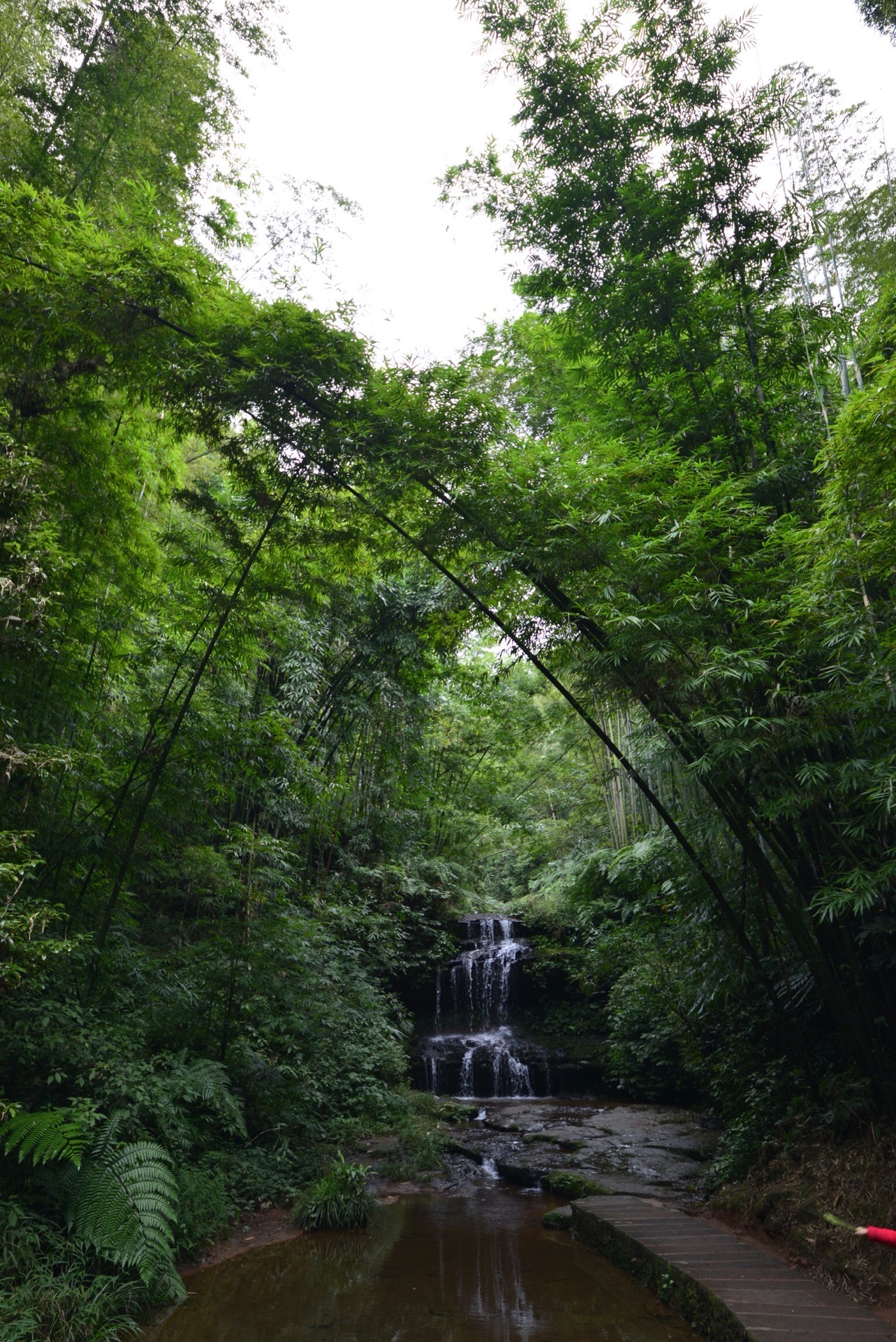长宁蜀南竹海攻略,长宁蜀南竹海门票/游玩攻略/地址/图片/门票价格