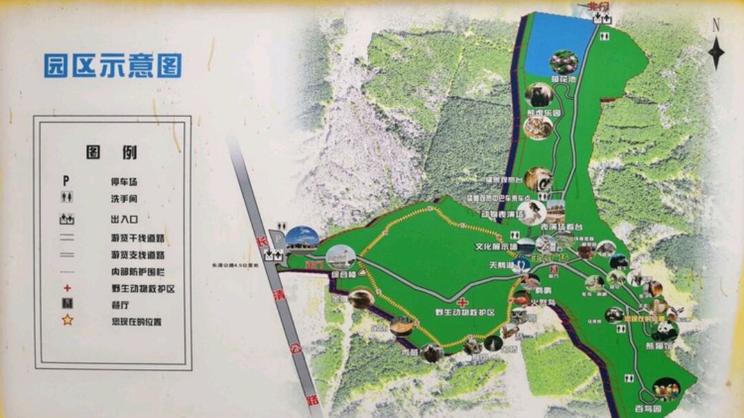 东北虎林园地图图片