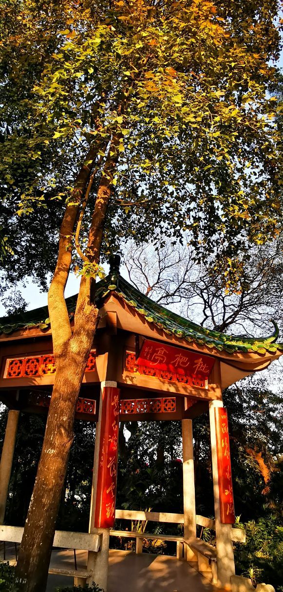 惠州芳华洲好玩吗,惠州芳华洲景点怎么样_点评_评价【携程攻略】