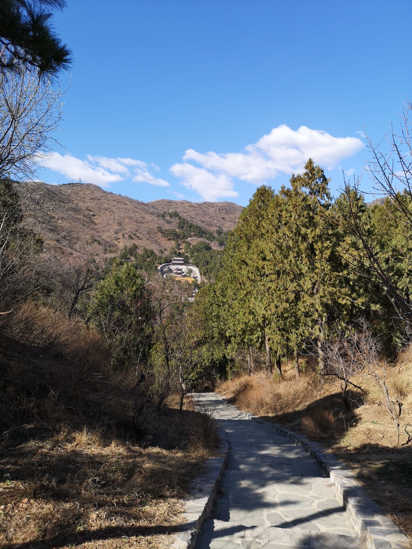 香炉峰是北京香山公园的主景点也是公园内的最高峰春天的香炉峰开满了