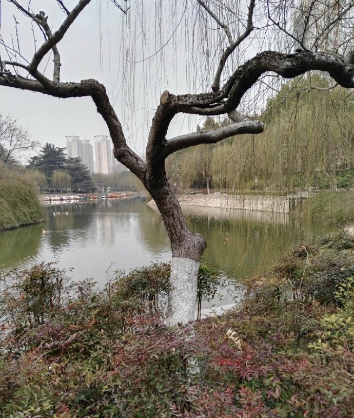 21紫荆山公园游玩攻略 春姑娘悄然而至 郑州紫荆山 去哪儿攻略