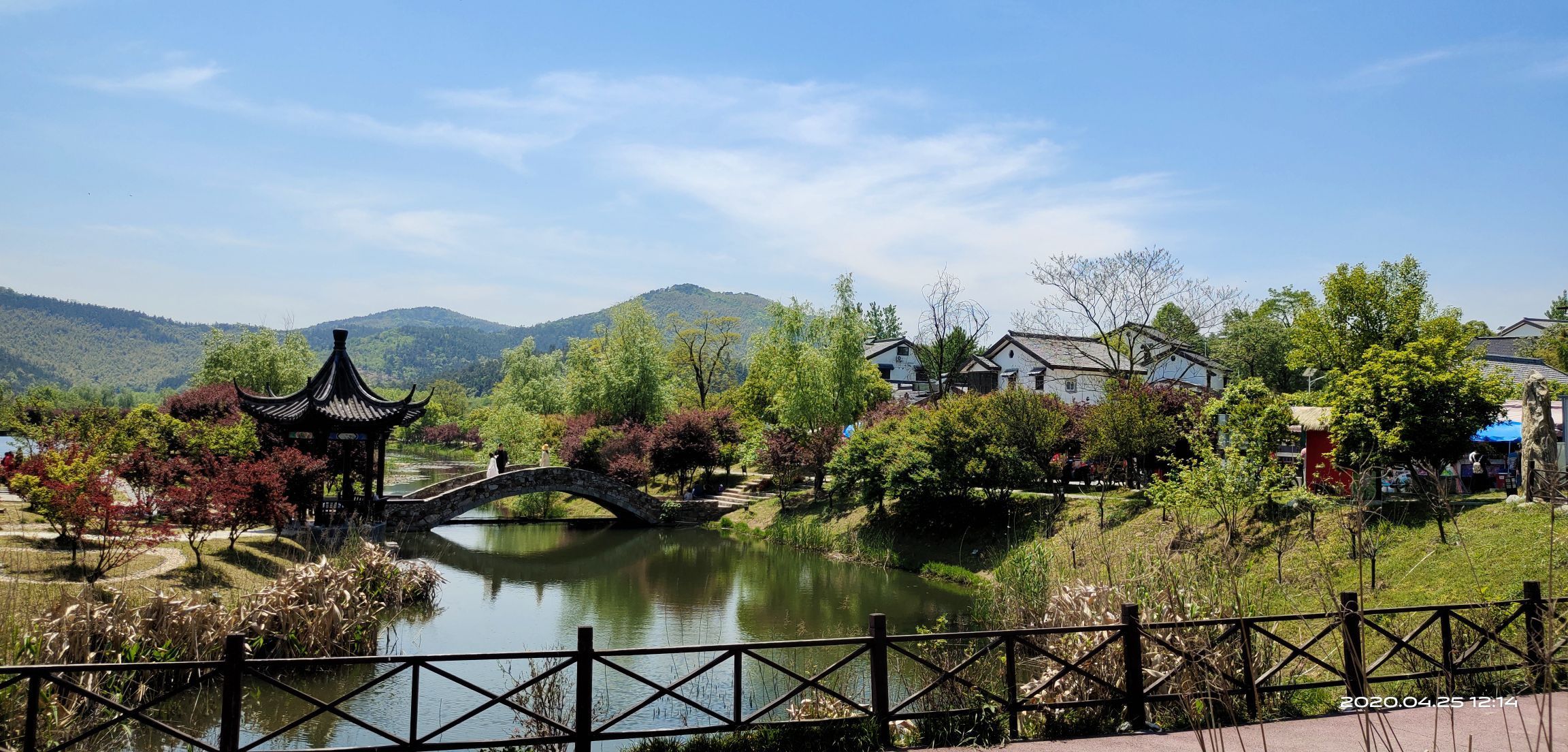 石塘竹海
