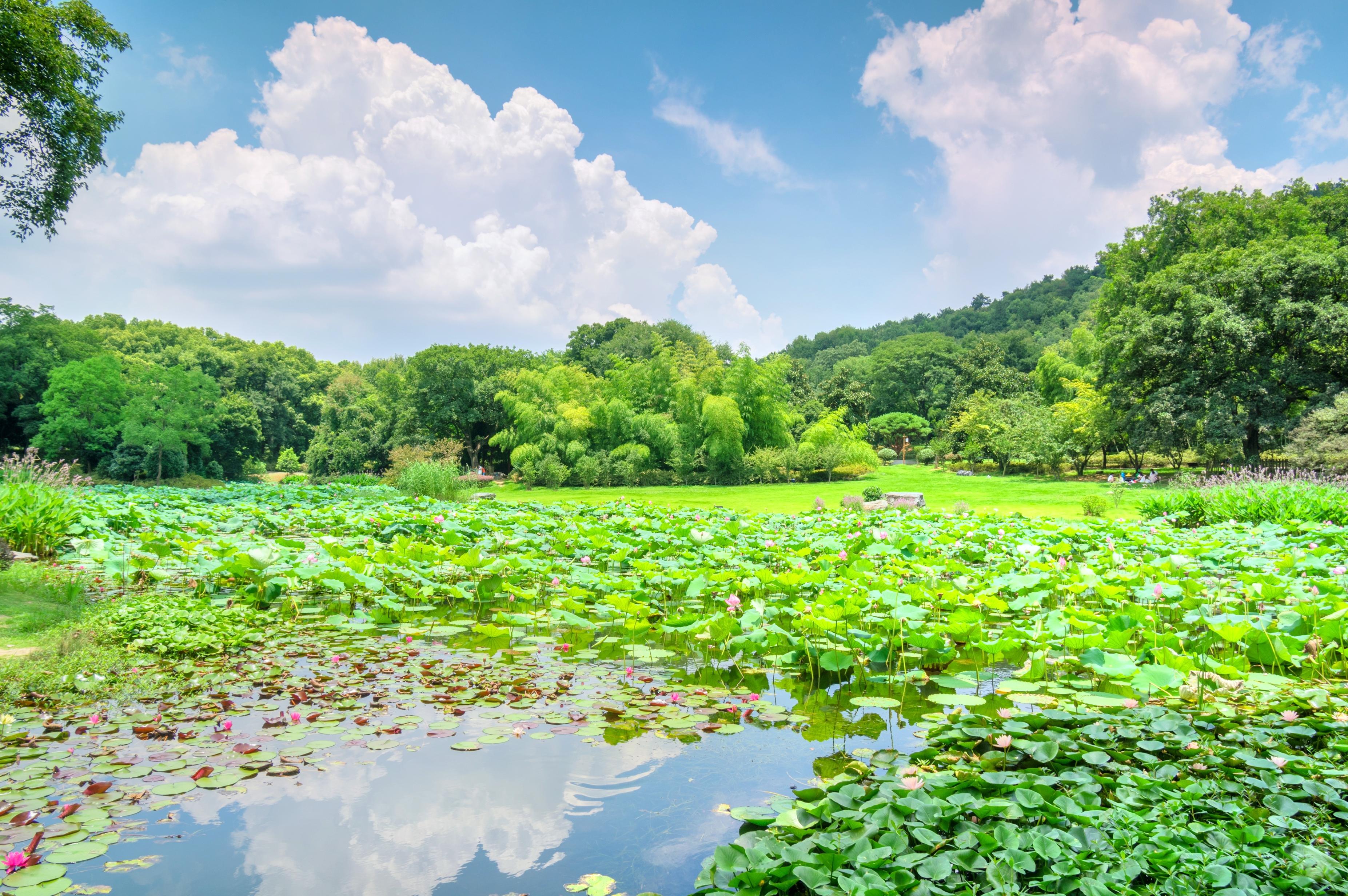 張 武漢東湖梅花博物館 暫無評分 景點地址 武漢市東湖風景區磨山梅園