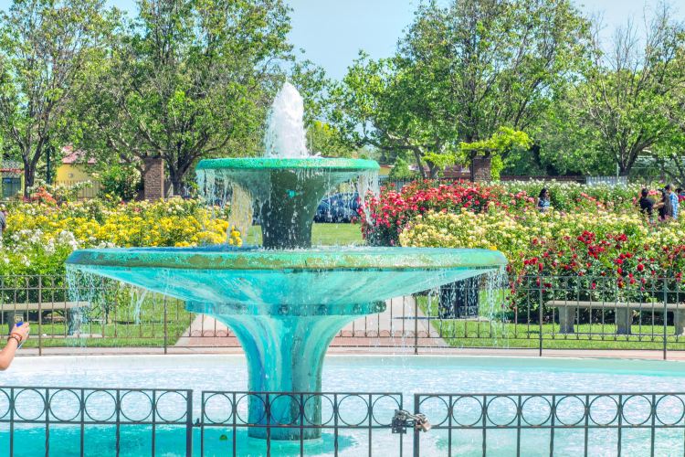 Municipal Rose Garden travel guidebook –must visit attractions in San