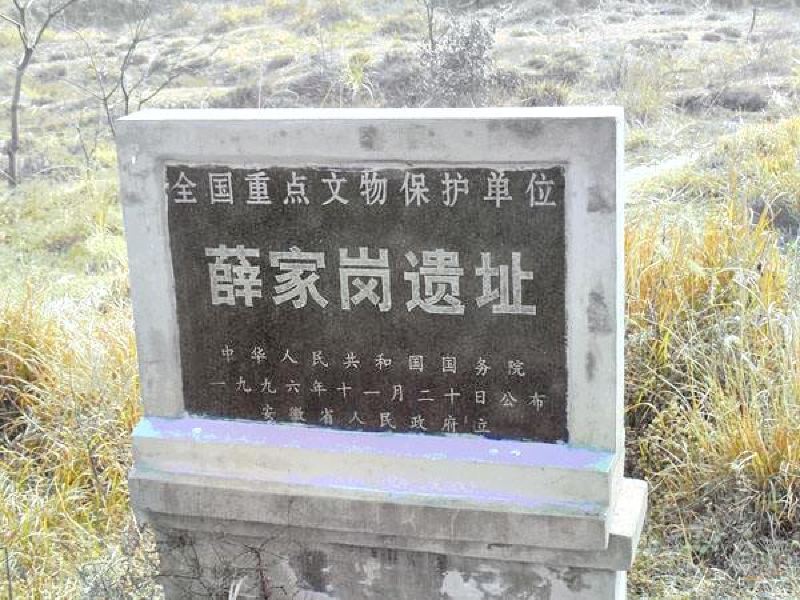天柱山薛家岗文化遗址攻略-薛家岗文化遗址门票价格多少钱-团购票价