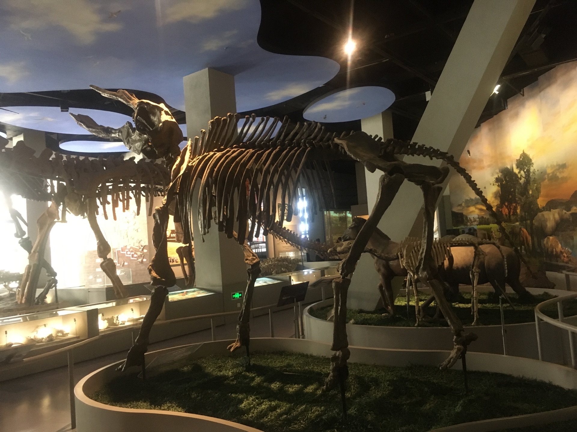 2020山西地质博物馆游玩攻略,巨大的恐龙化石太震撼了建
