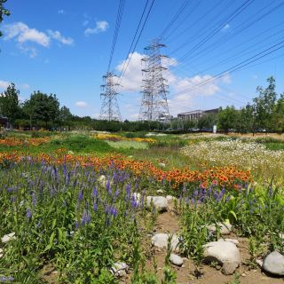 北京涼水河公園攻略-涼水河公園門票價格多少錢-團購票價預定優惠