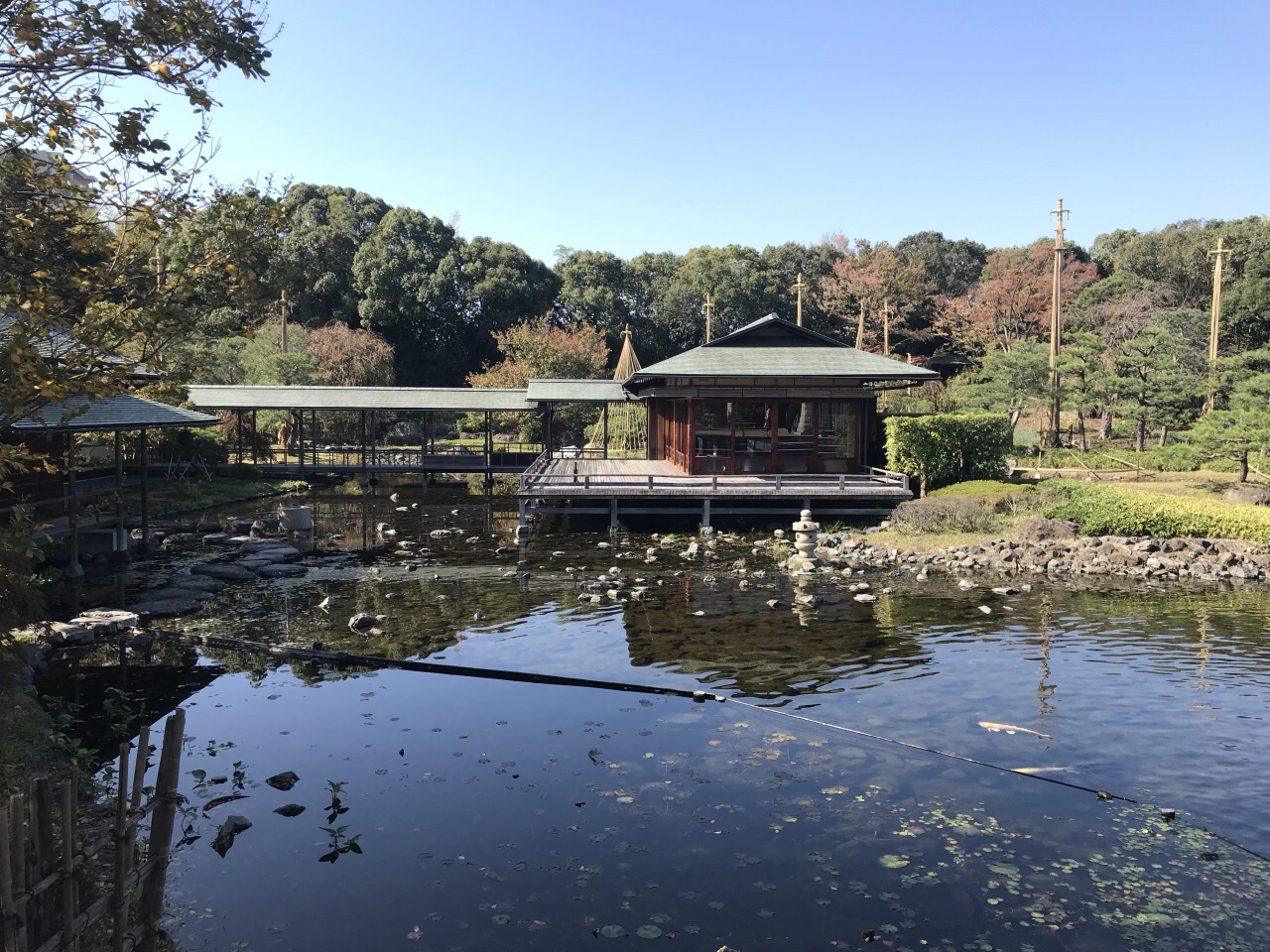 名古屋德川园图片