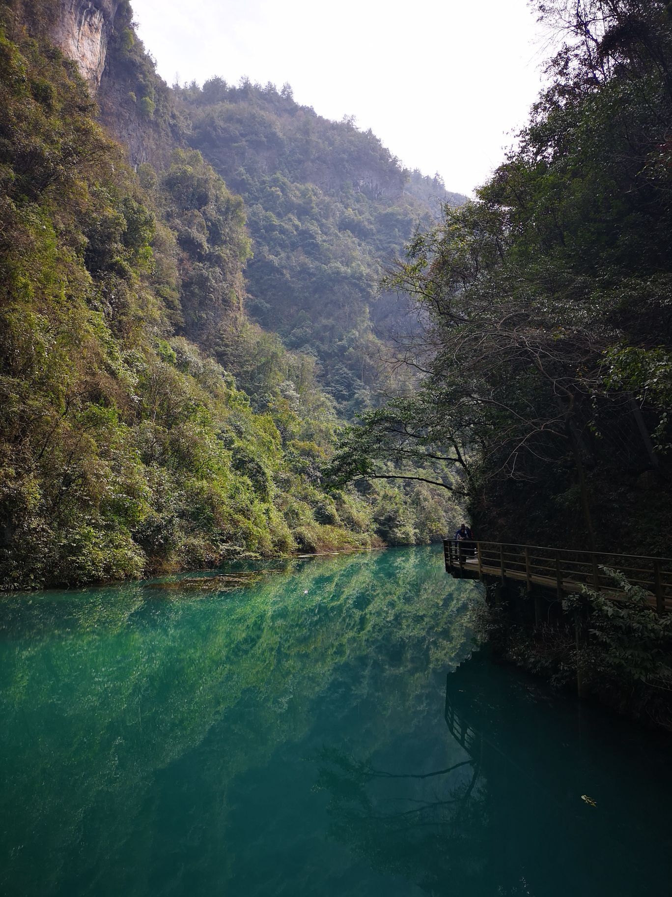 張家界大峽谷玻璃橋旅遊景點攻略圖