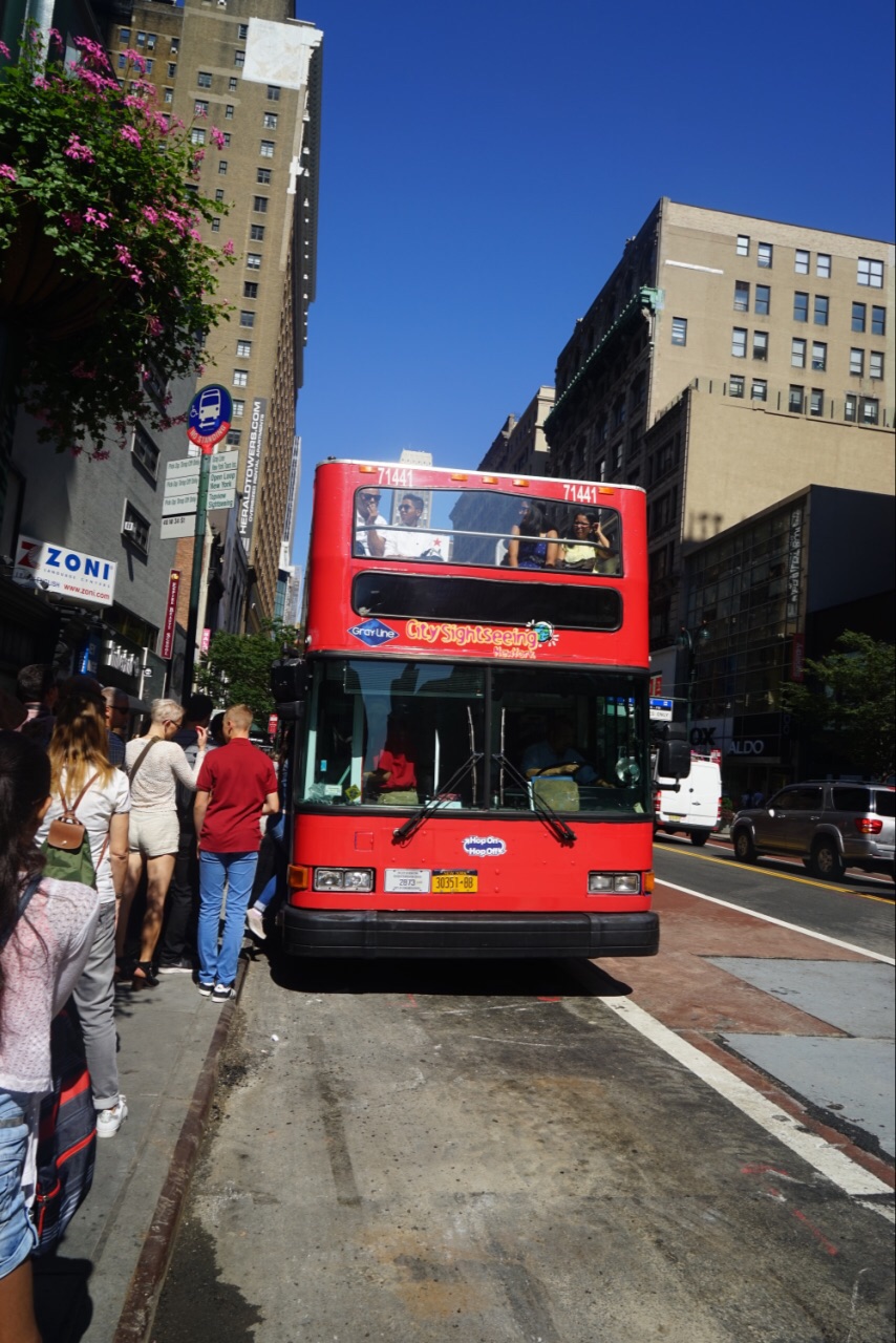 city sightseeing纽约观光巴士