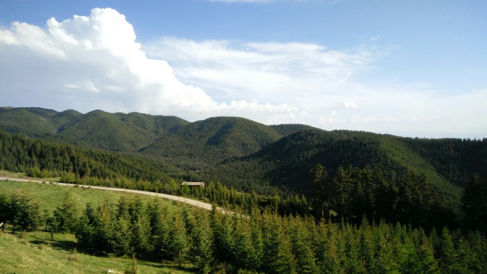 焉支山森林公园