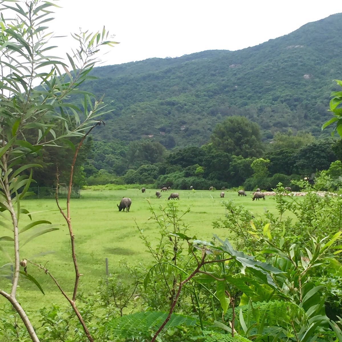 貝澳營地